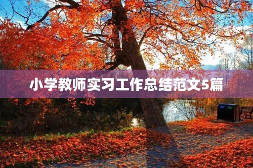 小学教师实习工作总结范文5篇