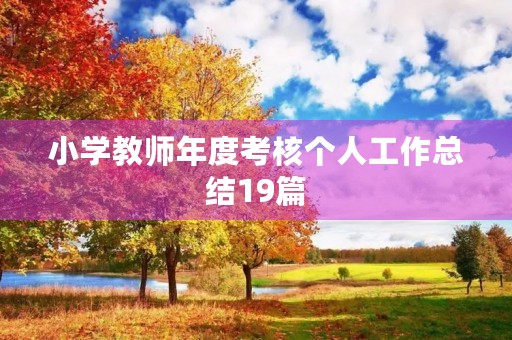 小学教师年度考核个人工作总结19篇