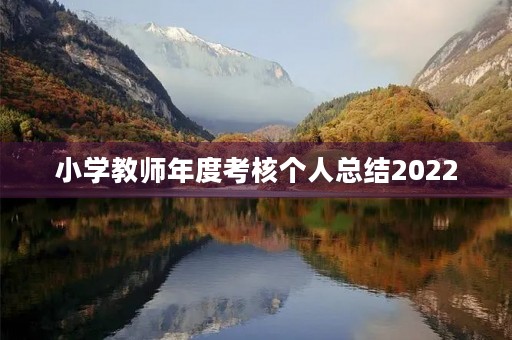 小学教师年度考核个人总结2022