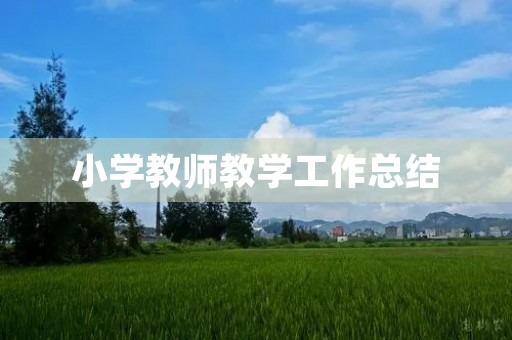 小学教师教学工作总结