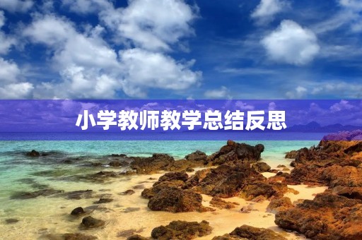 小学教师教学总结反思