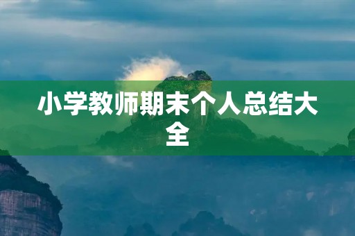 小学教师期末个人总结大全