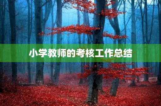 小学教师的考核工作总结