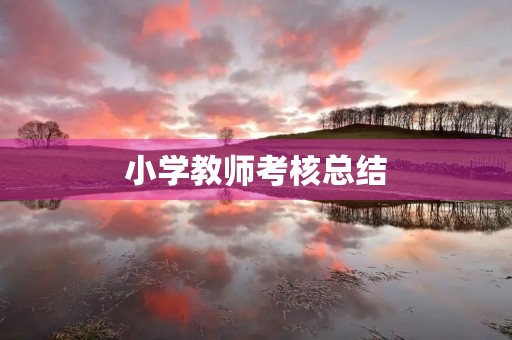 小学教师考核总结