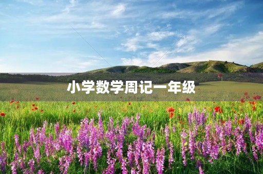 小学数学周记一年级