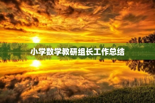 小学数学教研组长工作总结