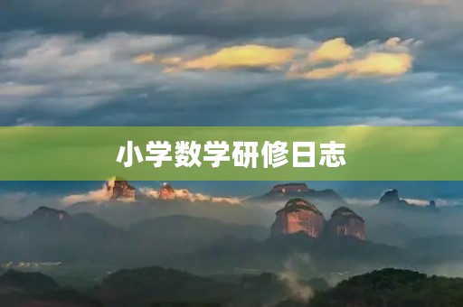 小学数学研修日志