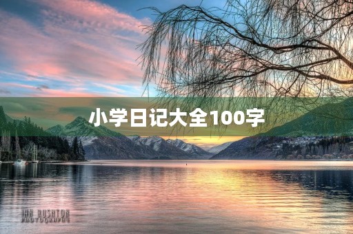 小学日记大全100字 小学日记大全100字