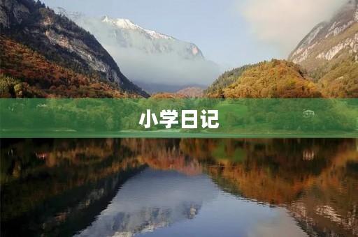 小学日记 小学日记