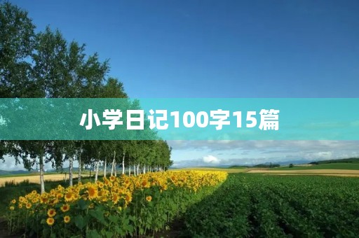 小学日记100字15篇 小学日记100字15篇