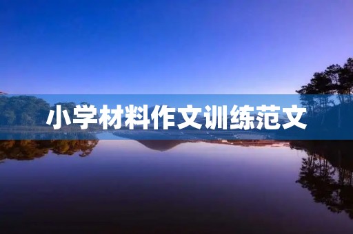 小学材料作文训练范文