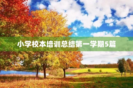 小学校本培训总结第一学期5篇