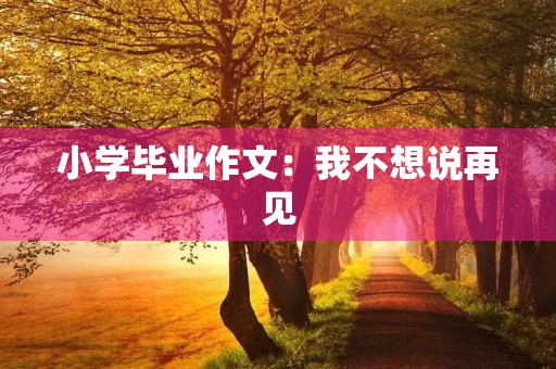 小学毕业作文：我不想说再见