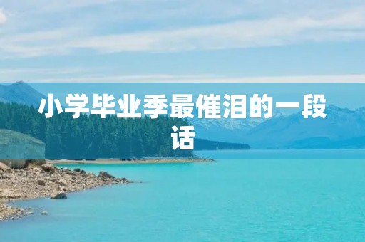 小学毕业季最催泪的一段话