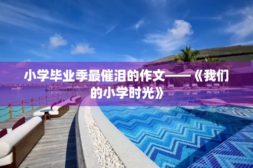 小学毕业季最催泪的作文——《我们的小学时光》