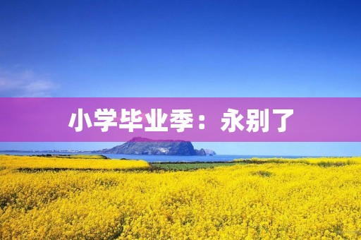 小学毕业季：永别了，童年