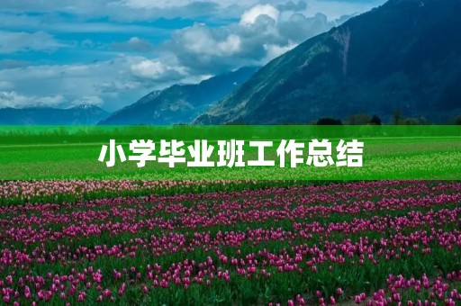 小学毕业班工作总结