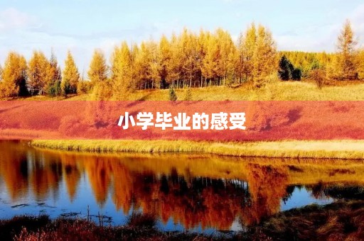 小学毕业的感受