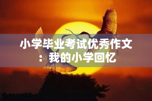 小学毕业考试优秀作文：我的小学回忆