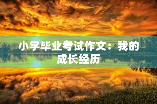 小学毕业考试作文：我的成长经历