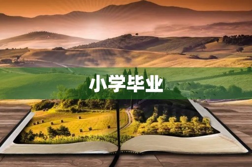 小学毕业,泪水滑落 小学毕业,泪水滑落