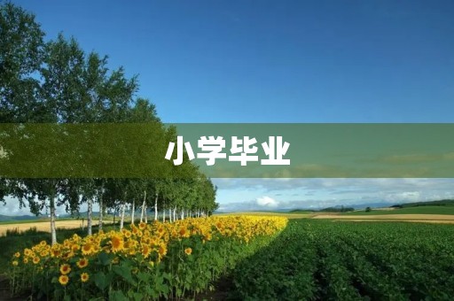 小学毕业，泪流满面
