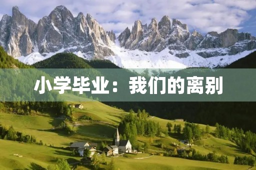 小学毕业：我们的离别