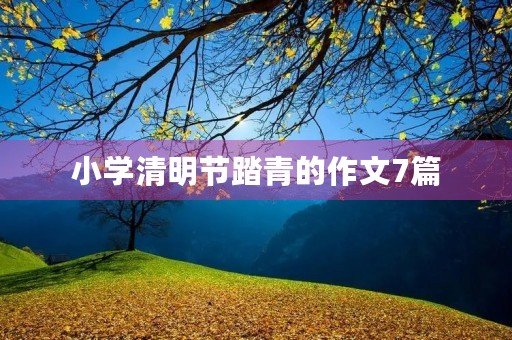 小学清明节踏青的作文7篇