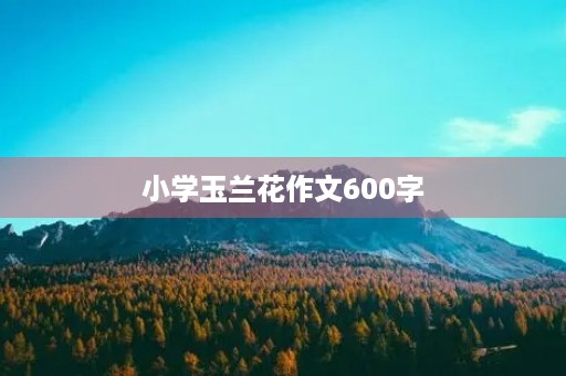 小学玉兰花作文600字