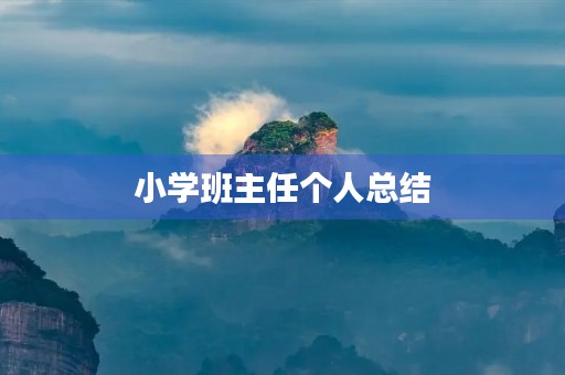 小学班主任个人总结