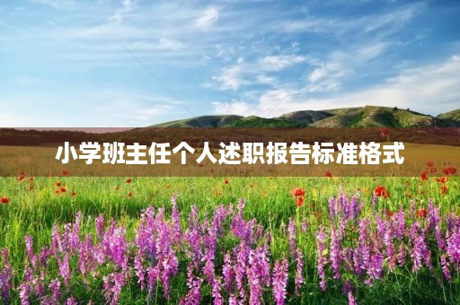 小学班主任个人述职报告标准格式