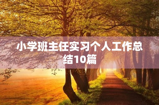 小学班主任实习个人工作总结10篇