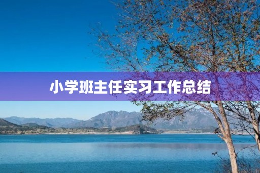 小学班主任实习工作总结
