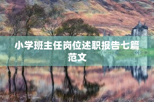 小学班主任岗位述职报告七篇范文