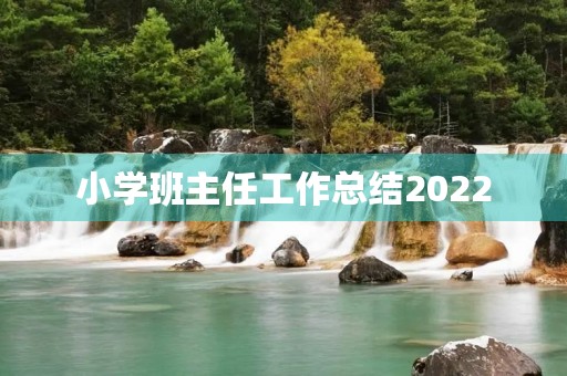 小学班主任工作总结2022
