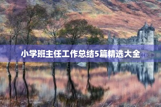 小学班主任工作总结5篇精选大全