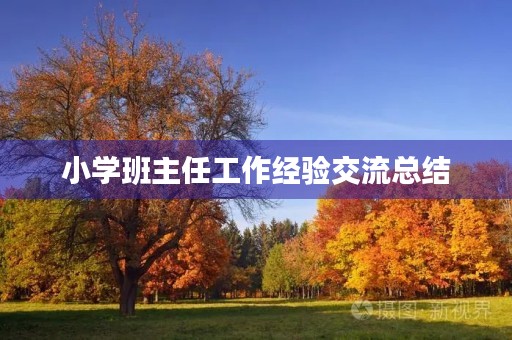 小学班主任工作经验交流总结