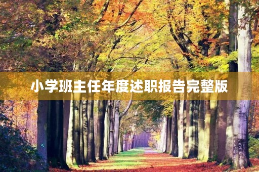 小学班主任年度述职报告完整版