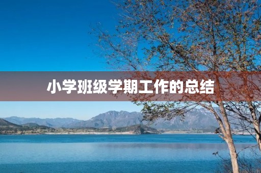 小学班级学期工作的总结
