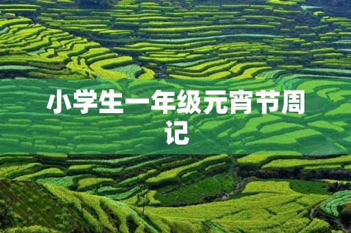 小学生一年级元宵节周记