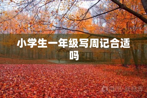 小学生一年级写周记合适吗