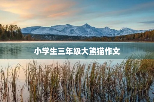 小学生三年级大熊猫作文 小学生三年级大熊猫作文