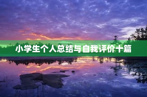 小学生个人总结与自我评价十篇 小学生个人总结与自我评价十篇