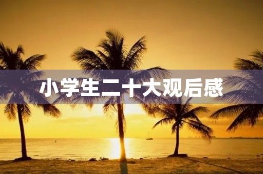 小学生二十大观后感 小学生二十大观后感