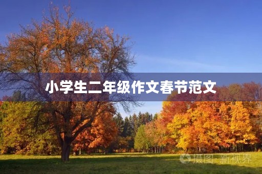 小学生二年级作文春节范文 小学生二年级作文春节范文