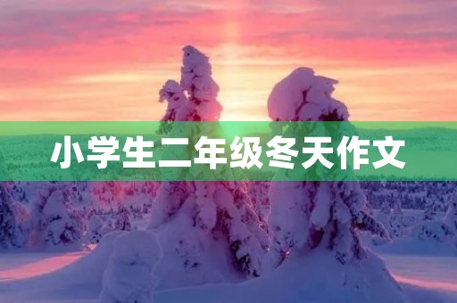 小学生二年级冬天作文