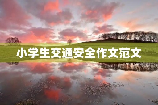 小学生交通安全作文范文