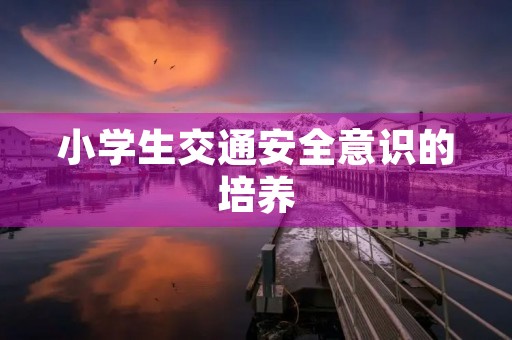 小学生交通安全意识的培养