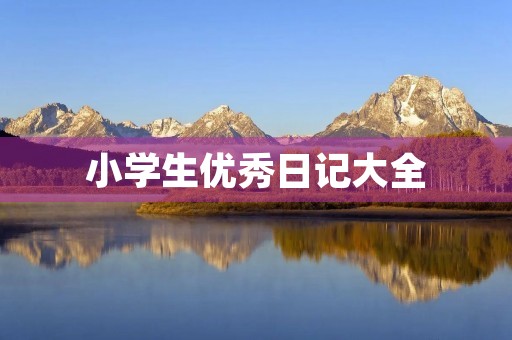 小学生优秀日记大全
