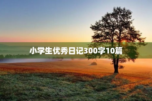小学生优秀日记300字10篇 小学生优秀日记300字10篇